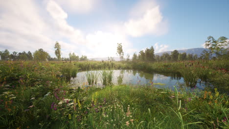 beautiful meadow with pond and wildflowers