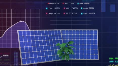 Animation-of-financial-data-processing-over-solar-panels