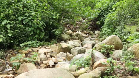 Small-water-drains-in-Upper-Himalayas,-Uttarakhand,-India