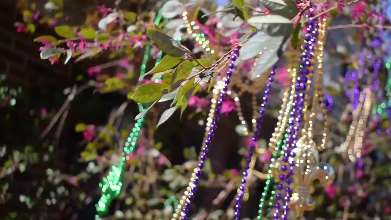 Perline di Mardi Gras e gigli su un ramo d'albero che ondeggiano al vento, all'aperto sotto il sole