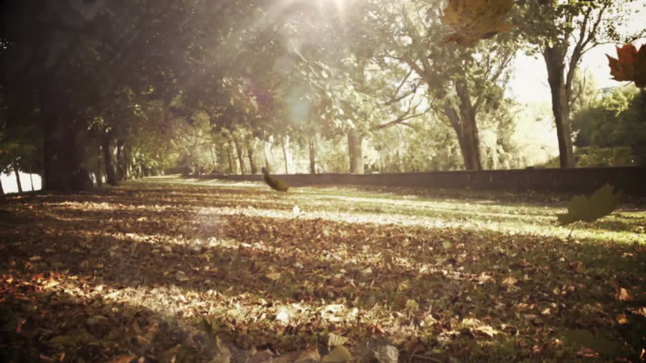 가을 낙엽이 떨어지는