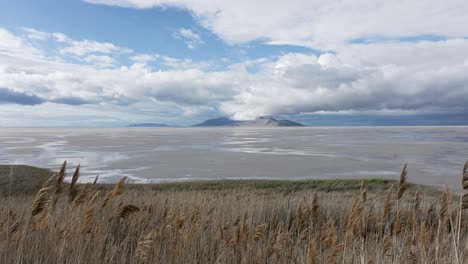 lento empujón aéreo en la costa del gran lago salado, utah en un día soleado