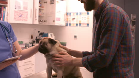 un dueño de mascota hablando con un veterinario