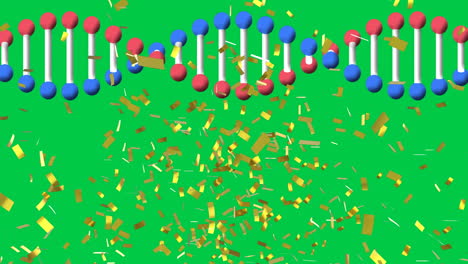 animation of confetti falling over dna strand spinning on green screen background
