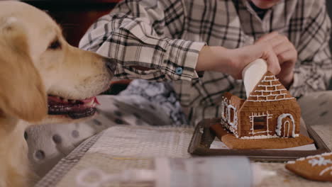 acogedora sesión de decoración de la casa de pan de jengibre de navidad con un perro