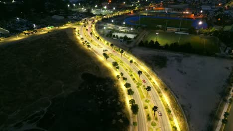 Illuminated-avenue-with-palm-trees-in-Santiago-de-Chile