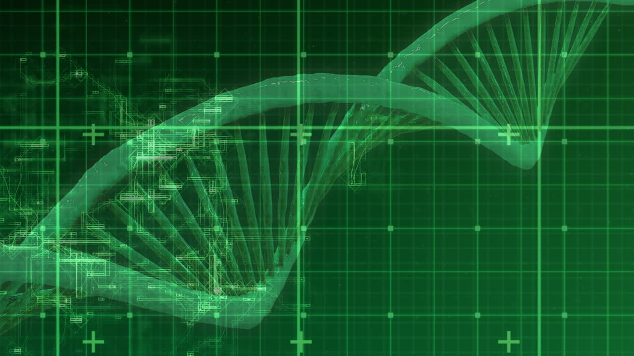 animación digital de la red de rejilla sobre la estructura de adn giratoria contra un fondo verde