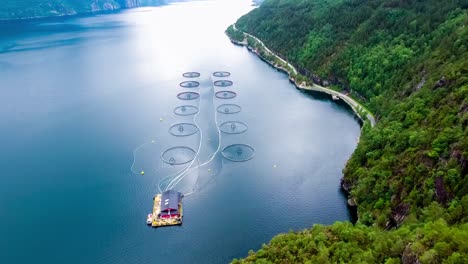 Aerial-footage-Farm-salmon-fishing-in-Norway