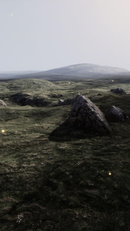 fantasy grassland landscape with rocks