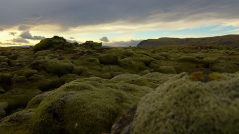 sunset in the green moss landscape of iceland