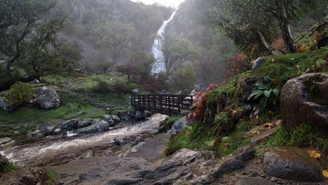 cascada río rocoso agua que fluye a cámara lenta en cascada bajo el puente de madera en el parque nacional vista amplia