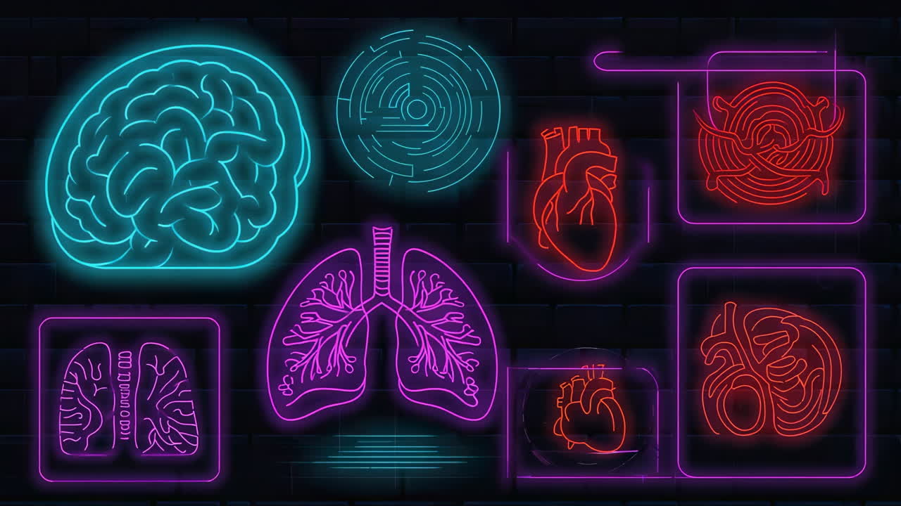 Neon Light Human Organs Illustration