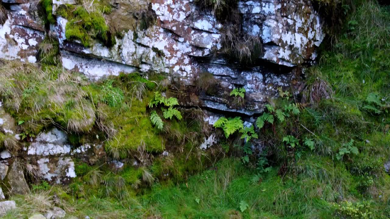 hermosa elevación disparada hacia arriba y hacia afuera de un valle rocoso, girando hacia la izquierda y revelando un exuberante valle de páramos con follaje púrpura mezclado con la hierba verde