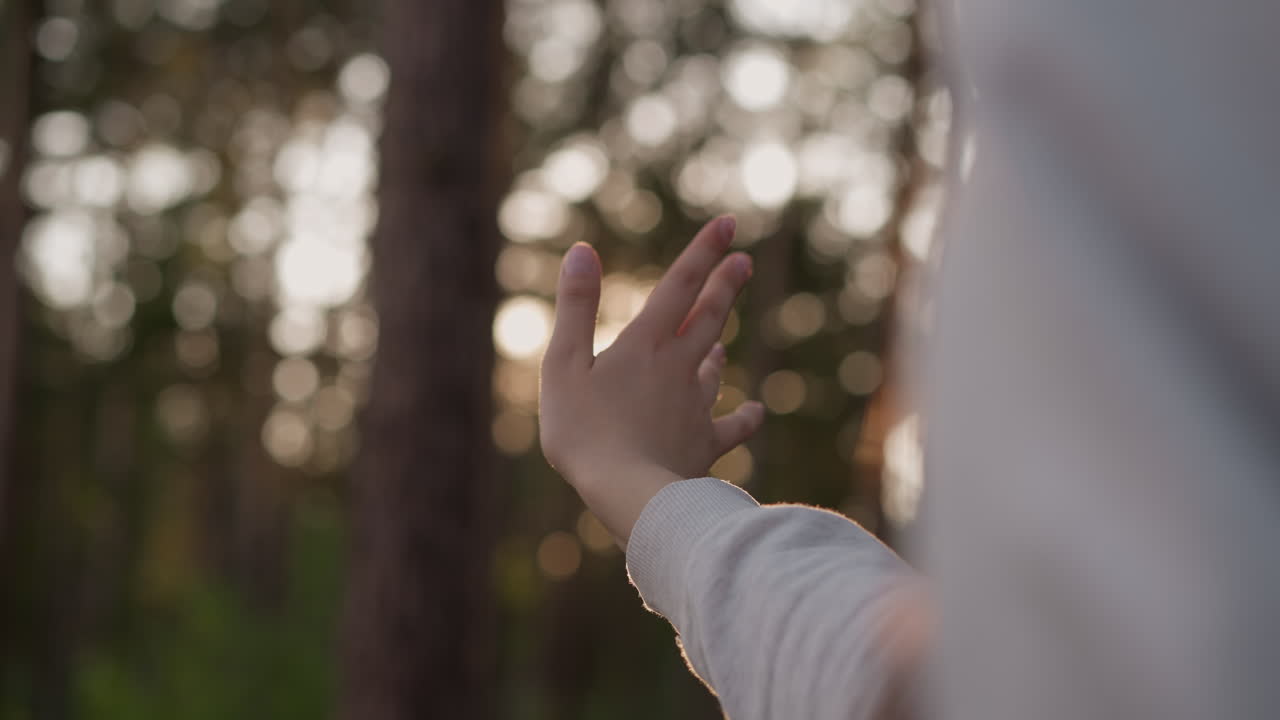 손으로 빛을 는 여자: 빛이 손가락 사이의 을 고 여름날 해가 지는 은 숲에서 는 젊은 여자