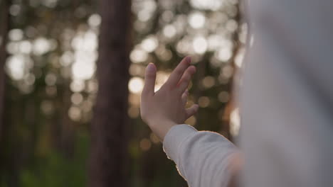 woman reaching out hand to sun in forest