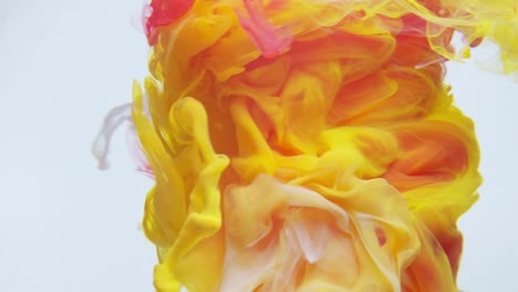 colorful orange yellow fire smoke powder explosion.