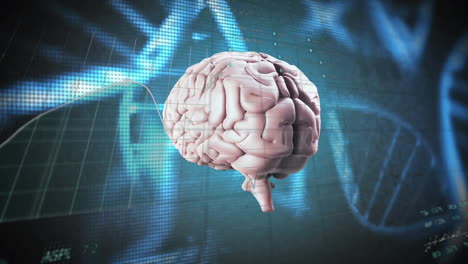 brain model with data processing animation over digital grid background