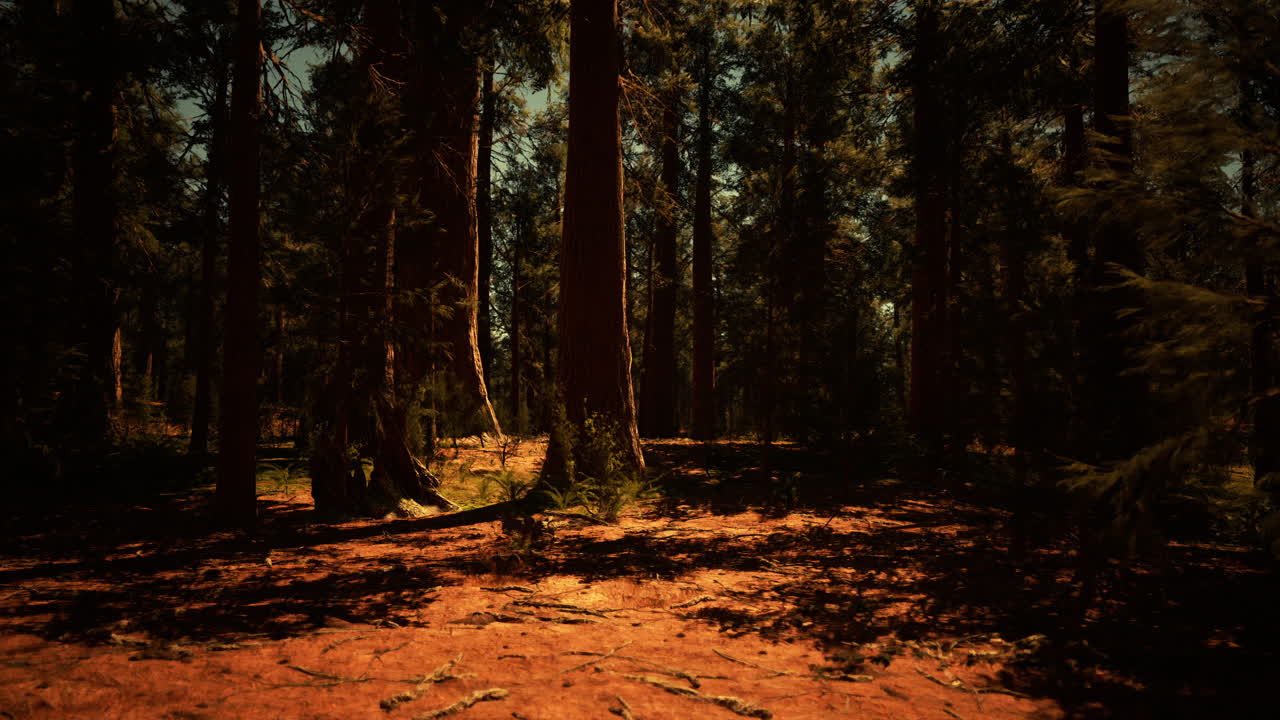 웅장한 나무 숲