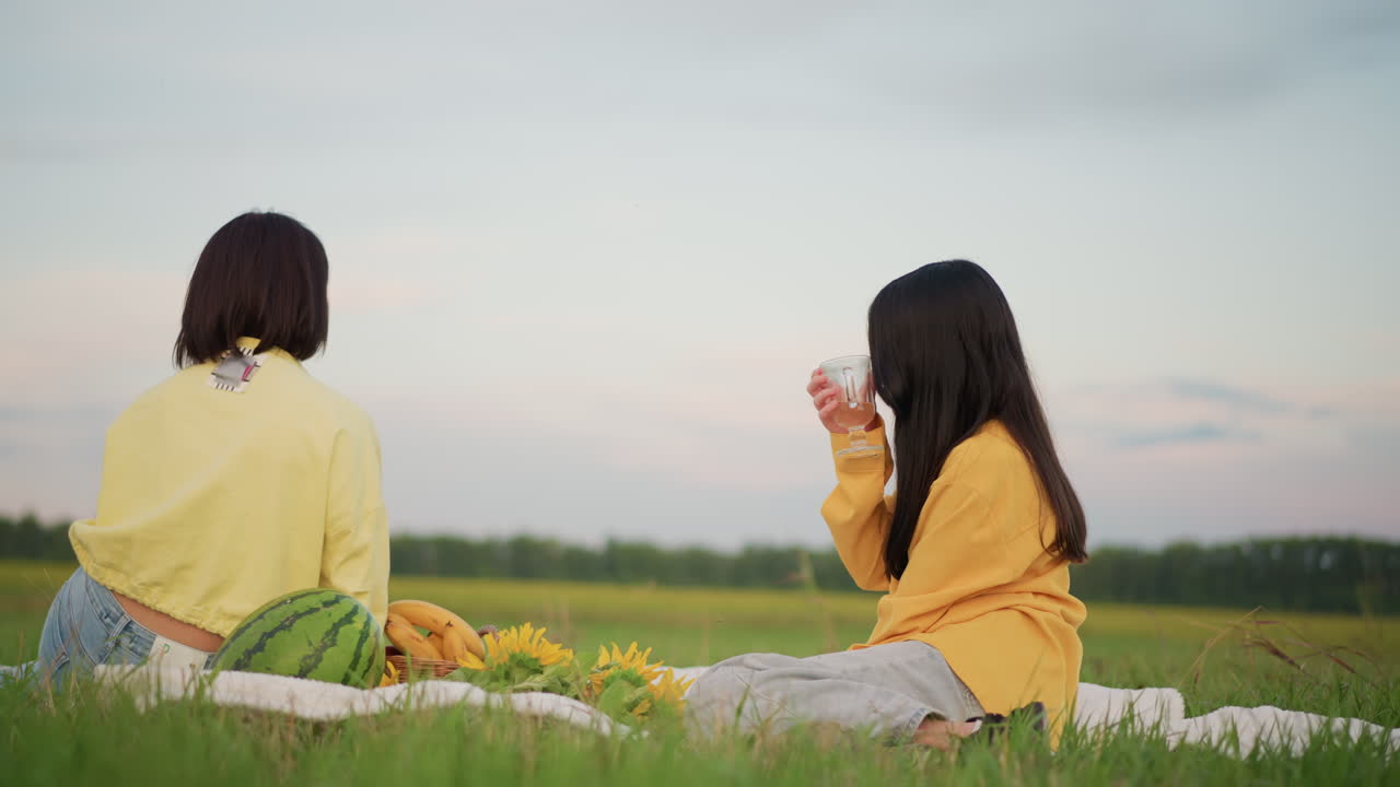 꽃과 피크닉 바구니로 둘러싸여 노란색 스웨터를 입고, 황혼 무렵 여름 들판에서 음료를 함께 마시며 편안하게 대화를 나누는, 부드러운 미소와 넓은 수평선을 가진 피크닉 담요 위의 두 백인 여성