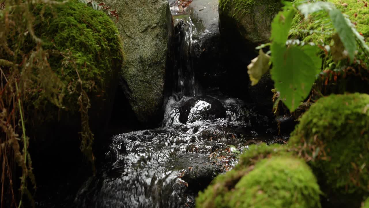 Close Up of Rocks with Moss Near a Small River in 4K