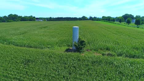 Vista-Aérea-De-Una-Antigua-Torre-De-Agua-En-Medio-De-Un-Campo-De-Maíz-Verde