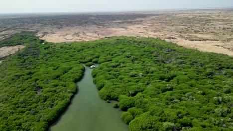 "discover al-qandal forest in jazan"
this video captures al-qandal forest’s lush greenery and serene beauty, ideal for travel, eco-tourism, and destination.