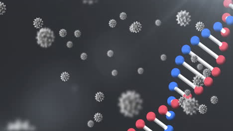 estructura del adn y células de covid-19 contra un fondo gris