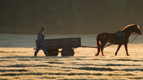 farmer and horse with cart in a foggy field at sunrise