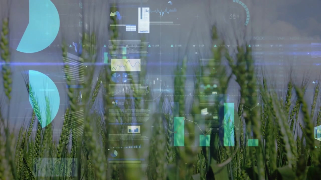 Video verticale: Sensori che avviano l'HUD su una fattoria, persona che scansiona le colture, grafici in aumento che tracciano la resa