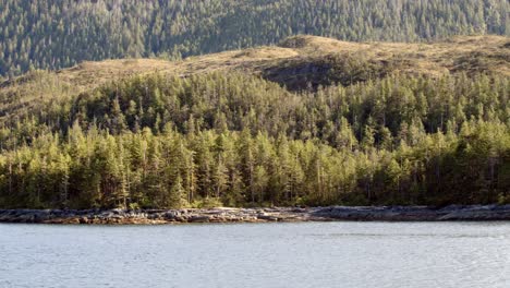 Canada-inside-passage,-Vancouver-island