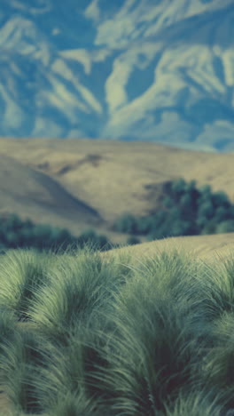 paisaje de montañas desérticas con hierba