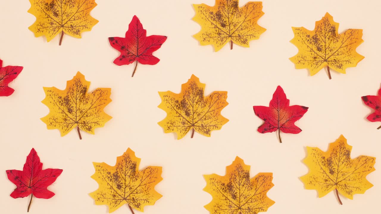 Autumn pattern made of yellow and red leaves dancing up and down on beige background. Stop motion