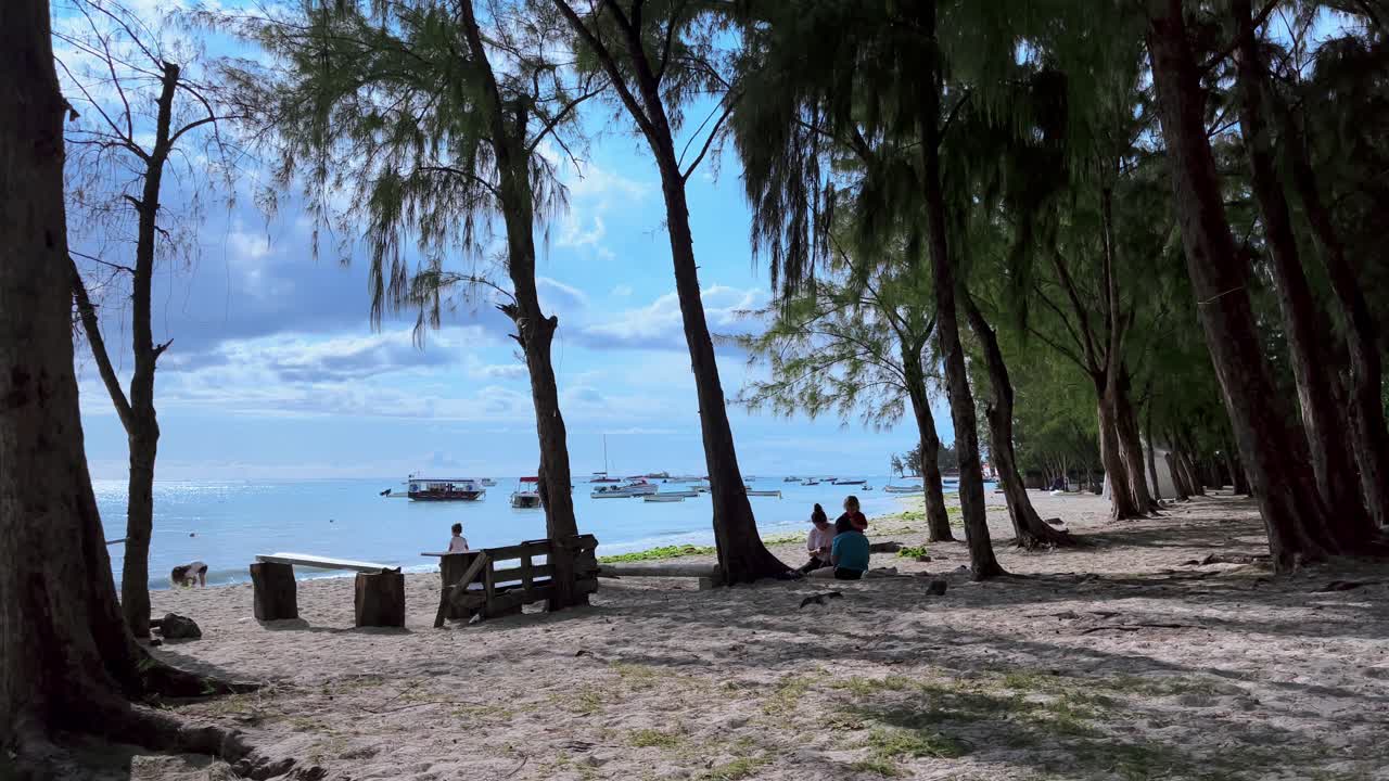 Relaxing Beach Day in Mauritius