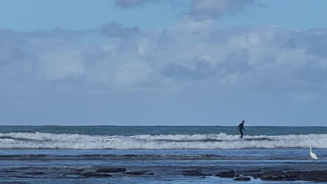 Grulla-Blanca-Pescando-En-Piscinas-Tilde