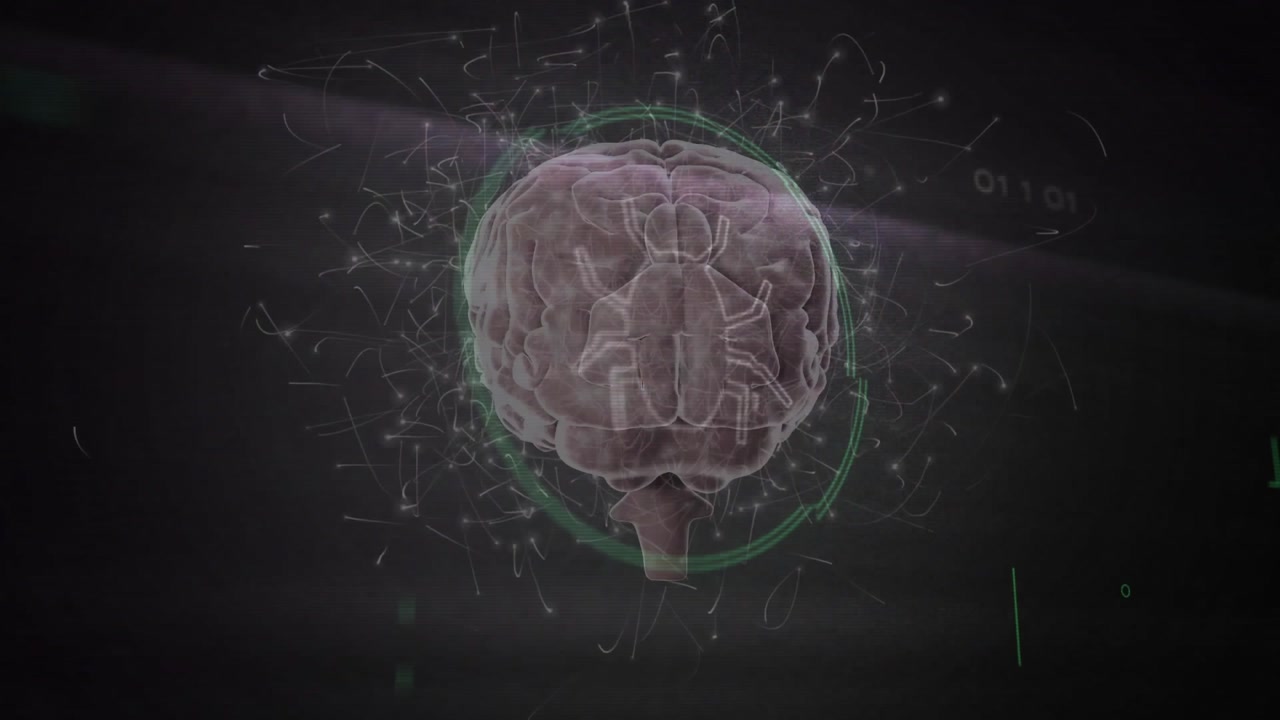 3D digital brain model rotating after green ring appears, pulsing circuits mapping neural data flow