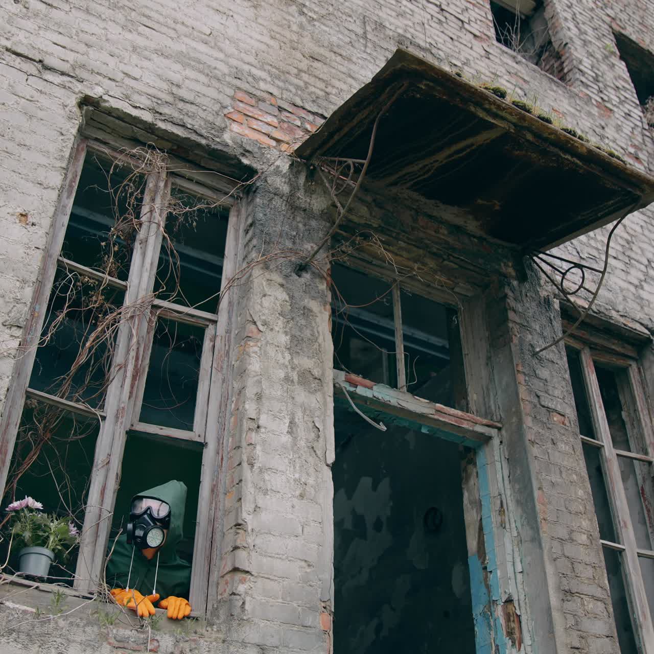 Human in respirator looking from ruined building with broken windows. Flower pot and ecologist in the abandoned place after biological attack