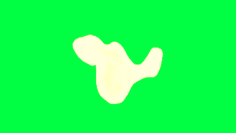 piece of garlic