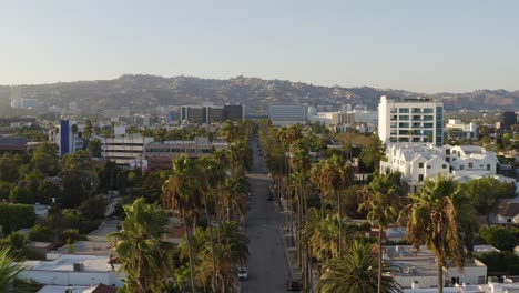 Stunning-Aerial-of-City-Street-with-Palm-Trees