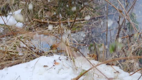 slowmotion of exploding ice