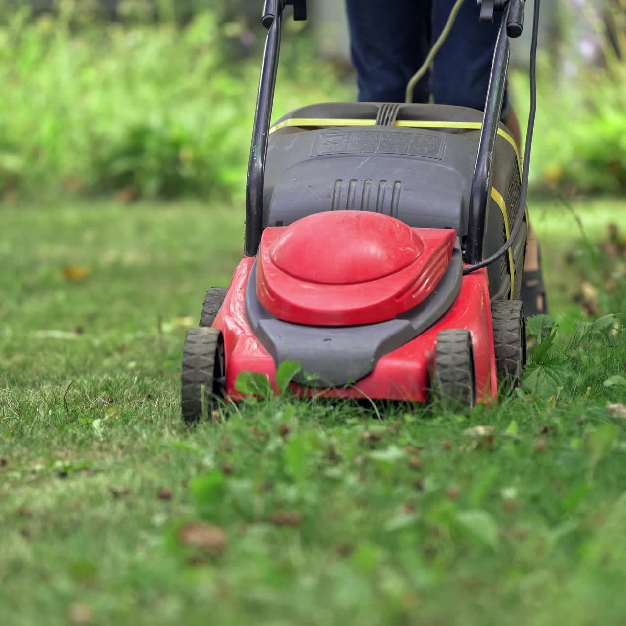 Young boy cutting the grass with a lawn mower in summer time