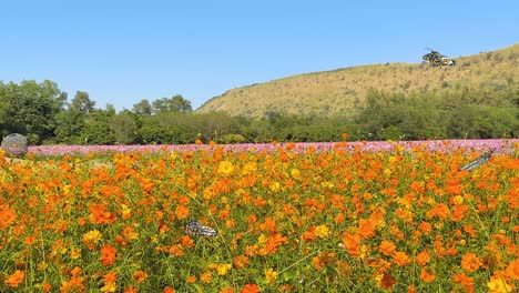 a butterfly gracefully flutters over a colorful field of flowers, set against a serene landscape under a clear blue sky