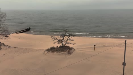 Giro-Aéreo-De-Alto-ángulo-Alrededor-De-Un-árbol-Muerto-Y-Solitario