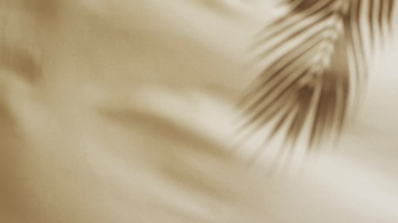 Animation of shadow of palm tree leaf moving with copy space over white fabric background
