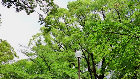 Das-Schöne-Leben-In-Yokohama