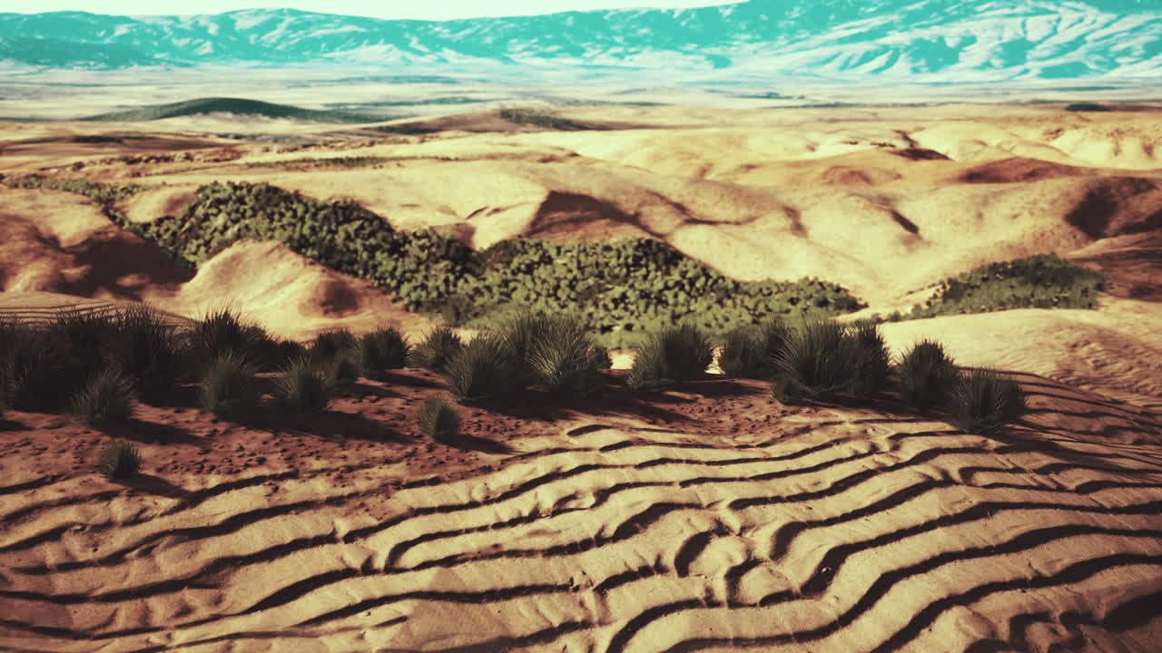 desierto llano con arbustos y hierba