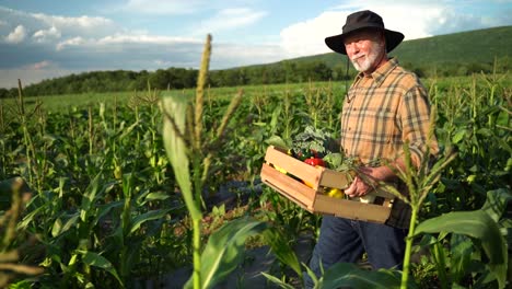 side view portrait of farmer carrying a box of organic vegetables look at camera at sunlight agriculture farm field harvest garden nutrition organic fresh portrait outdoor slow motion