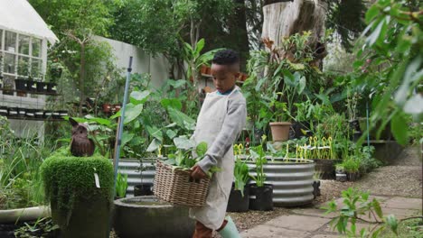 Glücklicher-Afroamerikanischer-Junge,-Der-Pflanzen-Im-Garten-Hält