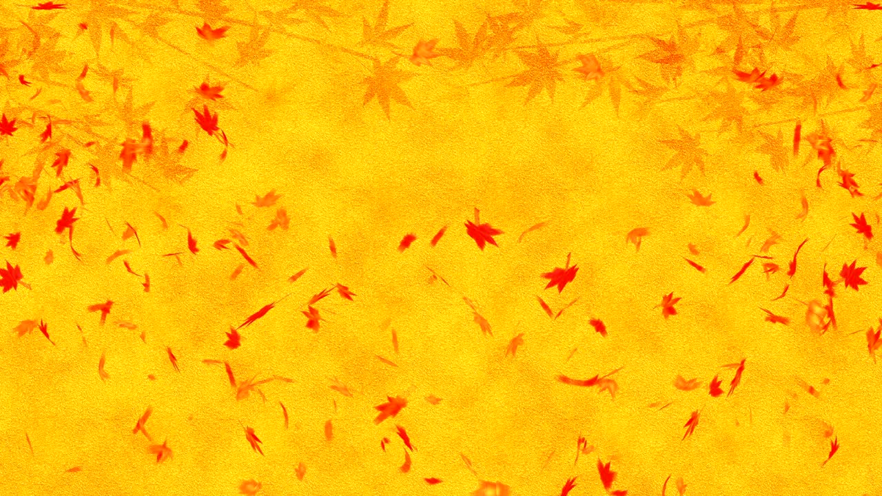 황금 바탕에 떨어지는 가을 잎, 메이플 잎, 루프 글리터 애니메이션