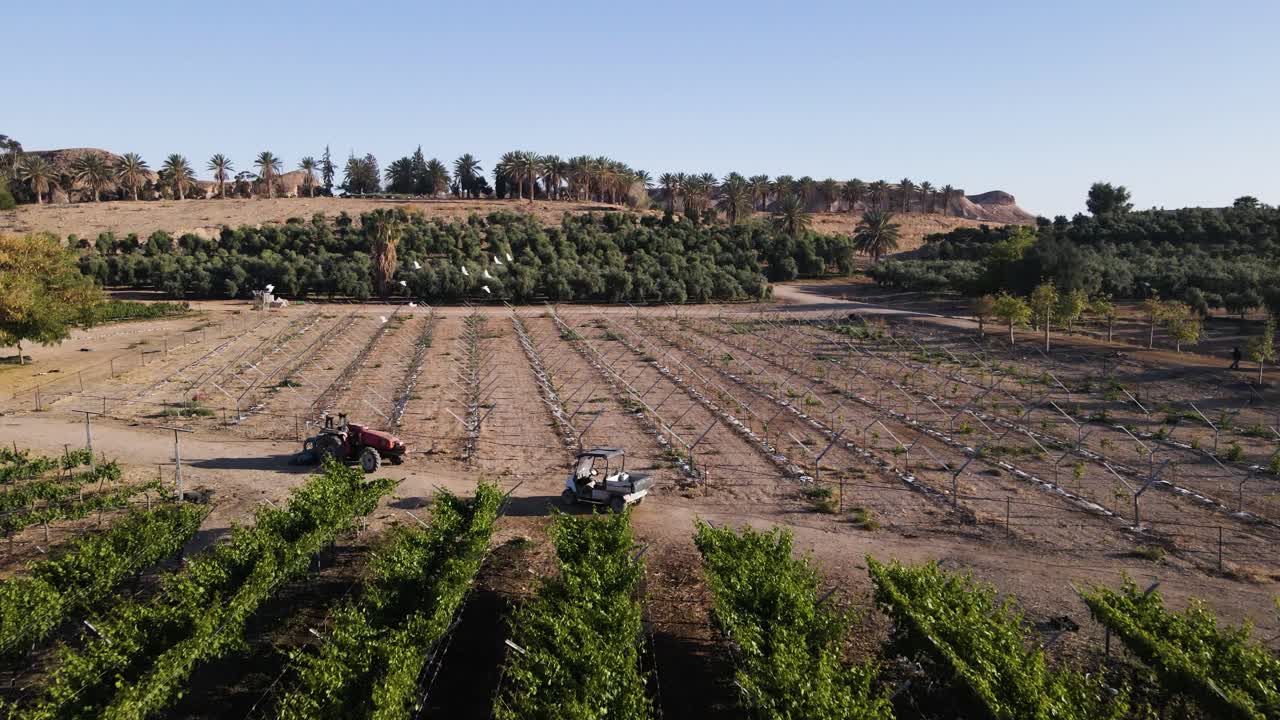 Beautiful green plantation and dry lands around in Israel, aerial view