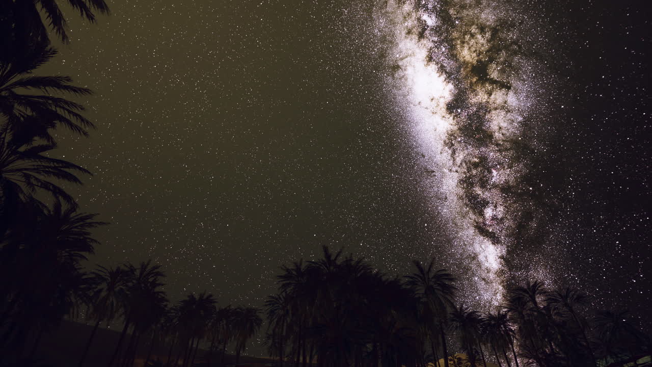 Night sky filled with stars and milky way over palm trees in a desert oasis